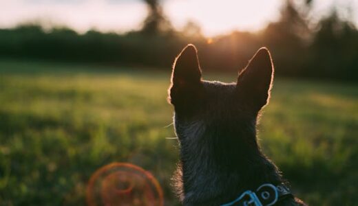 【自分の甘えでは？】管理会計をやっていけるのか不安になった時に込み上げてきたこと