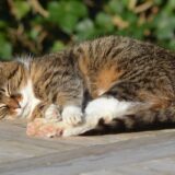 リワークへ行く目的と想定外な展開になった話