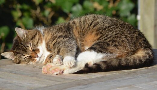 リワークへ行く目的と想定外な展開になった話