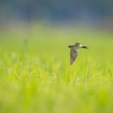 簿記1級の勉強どうする？最近の悩みのネタ！