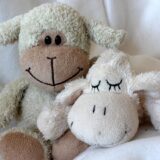 睡眠は徐々に良くなってきた