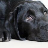 休職中の罪悪感と焦り。頑張ればできるけど頑張れない自分。