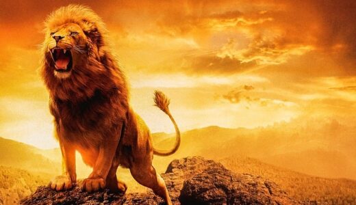 権力・お金・地位・名誉を持った人の気持ちがわからない