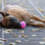 「目的を持つ」はほどほどが良い