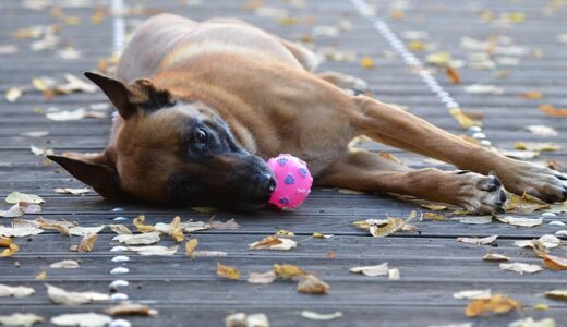 「目的を持つ」はほどほどが良い