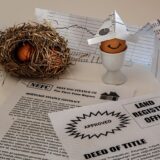 【体験談】自立支援医療受給者証の申請において”役所手続き”と”受給者証が届いた後”に気づいたこと。