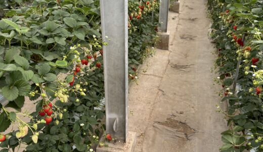 普段やらないことをやってみると人生が少し豊かになる理由。小さな行動の変化からの気づき