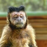 眠りが浅くて夢ばかり見る時に起きる体調の変化